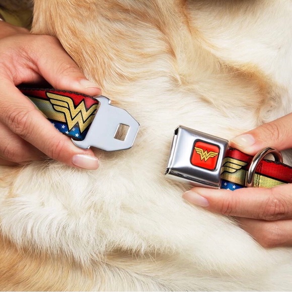 Buckle Down Wonder Woman Logo Stars and Stripes Dog Collar - Picture 2 of 8